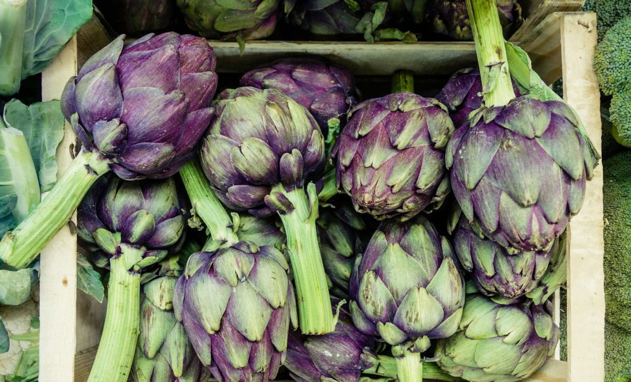 lapercussi-alcachofra