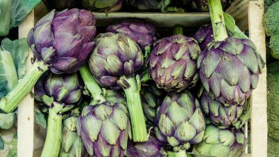 lapercussi-alcachofra