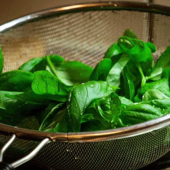 merri-j-RY6aisPDGhE-unsplash