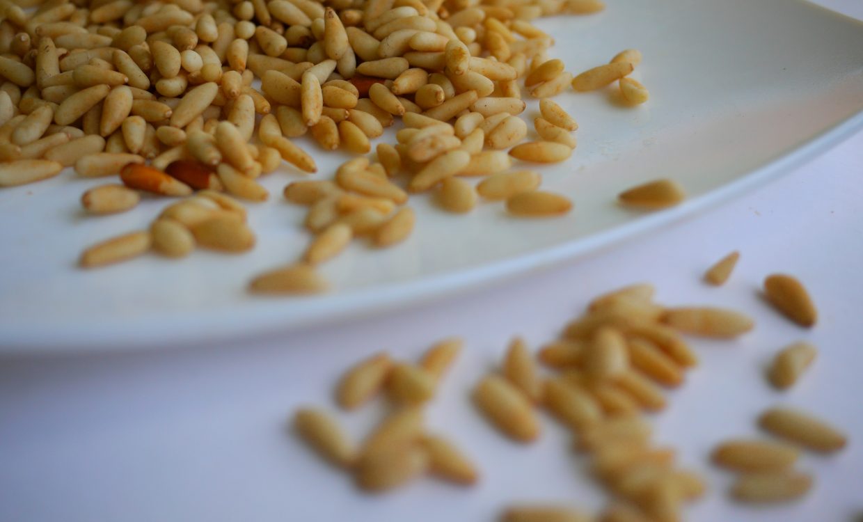 leila-issa-z0FSQPqR83g-unsplash