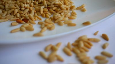 leila-issa-z0FSQPqR83g-unsplash